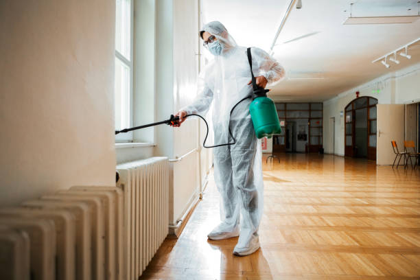 Best Residential Pest Control  in Elsberry, MO